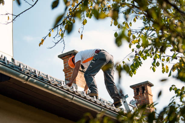  French Island, WI Roofing Contractor Pros