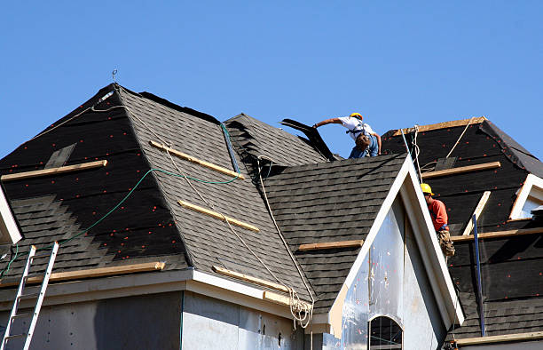 Best Roof Repair Services  in French Island, WI