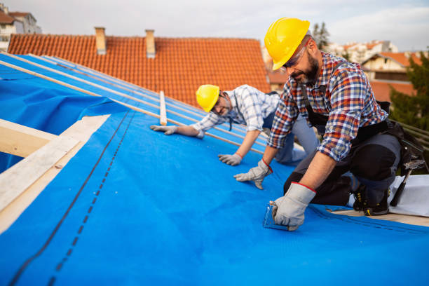 Best Roof Gutter Cleaning  in French Island, WI