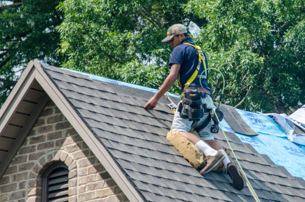 Best Metal Roofing Contractor  in French Island, WI