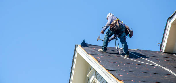 Best Roof Maintenance Services  in French Island, WI